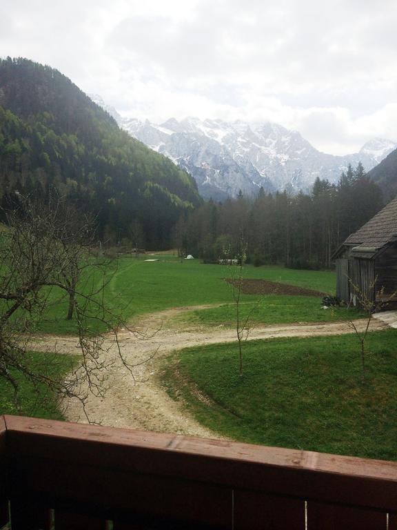 Farm Stay Juvanija Solcava Luaran gambar