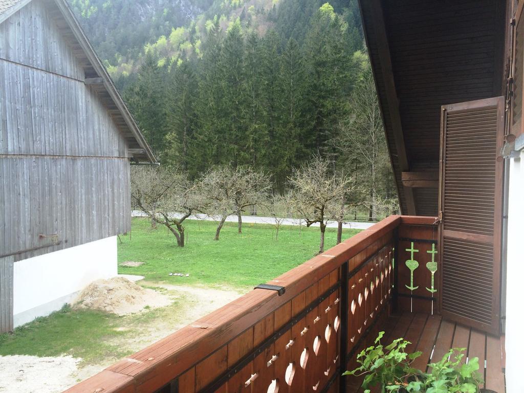 Farm Stay Juvanija Solcava Luaran gambar