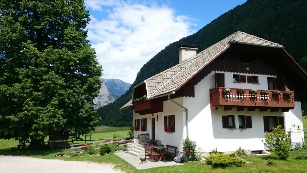 Farm Stay Juvanija Solcava Luaran gambar
