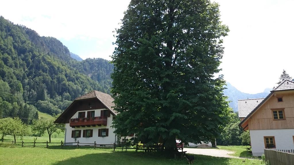 Farm Stay Juvanija Solcava Luaran gambar