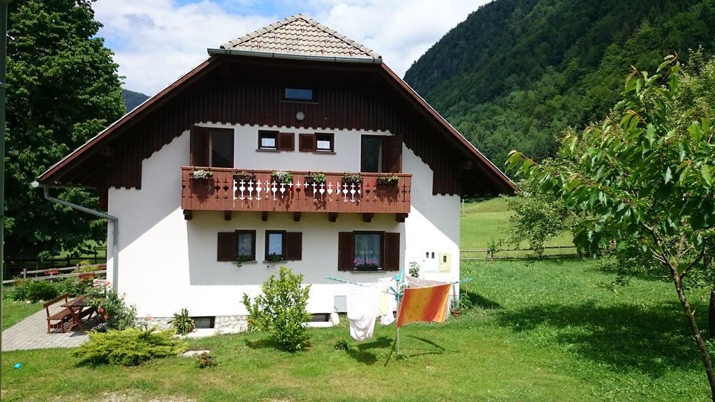 Farm Stay Juvanija Solcava Luaran gambar